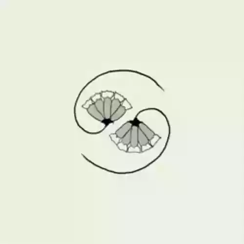 Cover GODSPEED YOU ! BLACK EMPEROR - G_d's Pee AT STATE'S END!