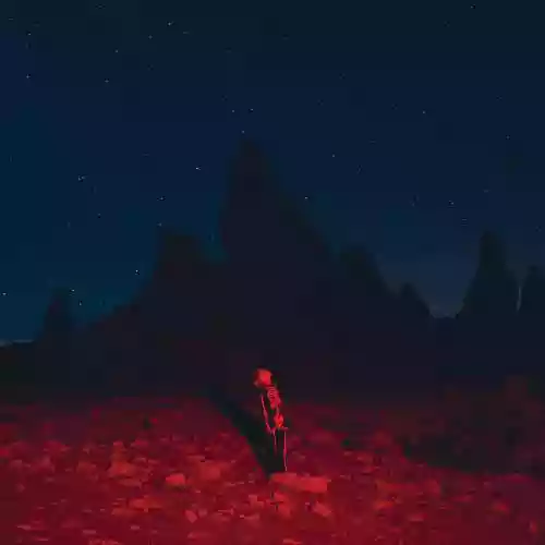 Cover Phoebe Bridgers - Punisher