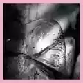 <b>Loscil</b> • clara