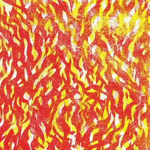 Cover The Bug - Fire