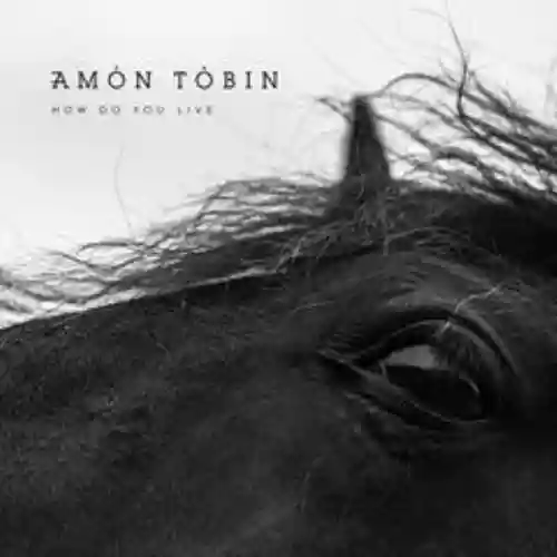 Cover Amon Tobin - How Do You Live
