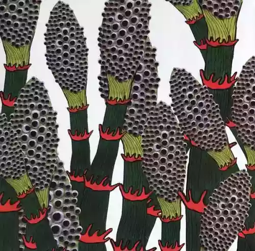 Cover Part Chimp - IV