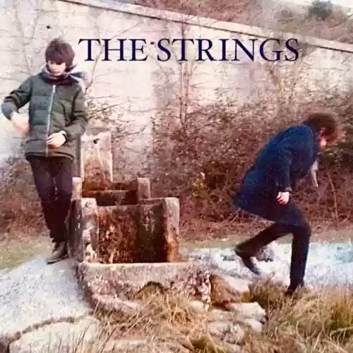 Cover di Natale con i The Strings