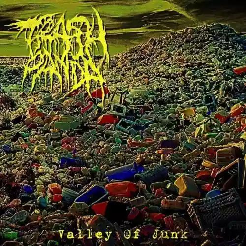 Cover Trash Panda - Valley of Junk