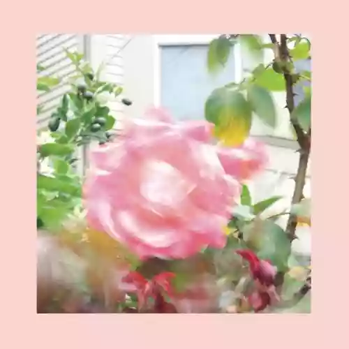 Cover di Summer At Land' End