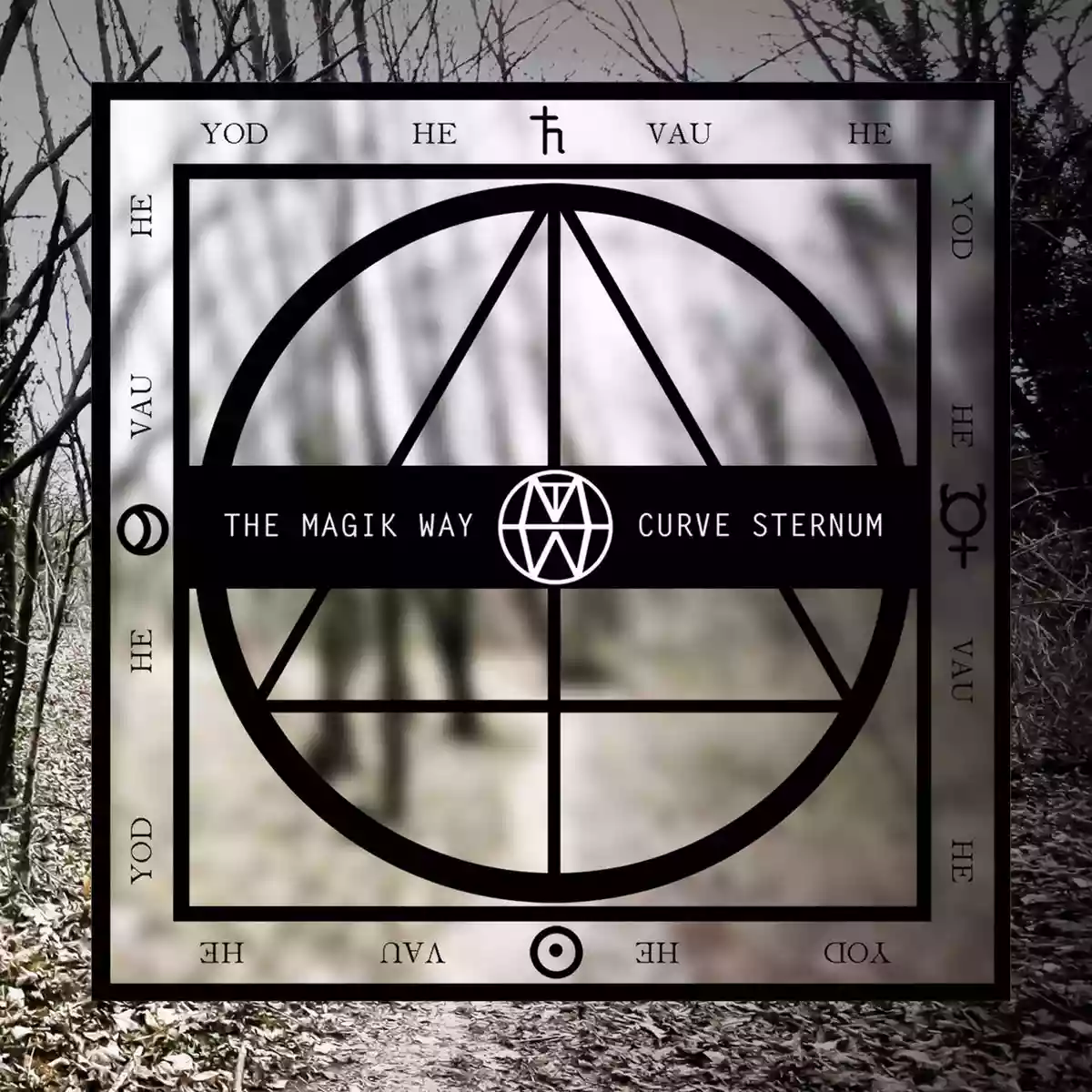 The Magik Way: Curve Sternum