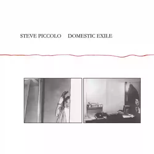 Cover di Domestic Exile