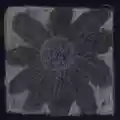 <b>Florist</b> • FLORIST