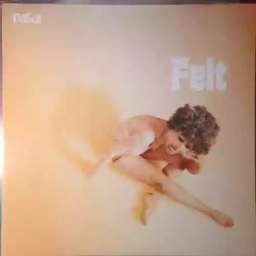 Cover Felt - Felt