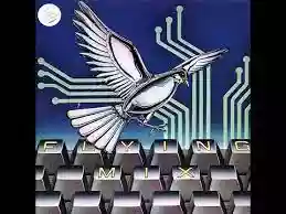 Various Artists: Flying Mix