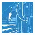 <b>The Cat's Miaow</b> • 
