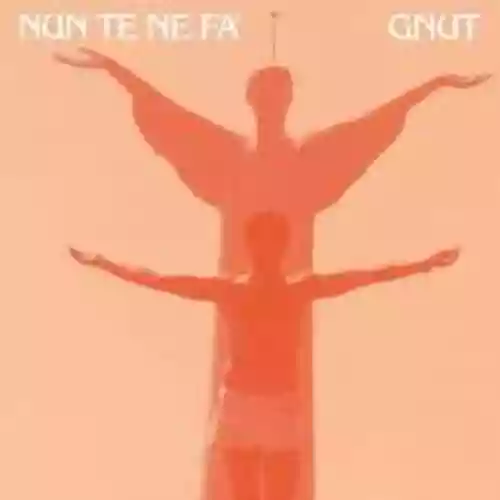 Cover Gnut - Nun te ne fa'