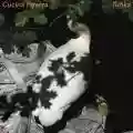 <b>CUCINA POVERA</b> • TUHKA