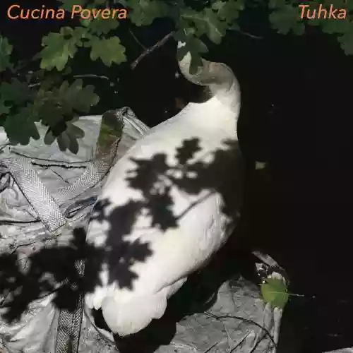 Cover di TUHKA