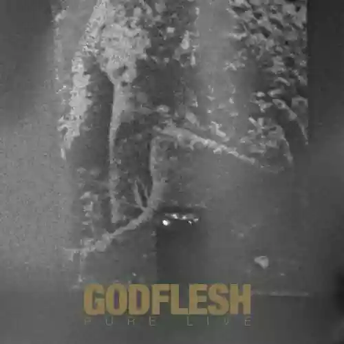Cover Godflesh - Pure Live