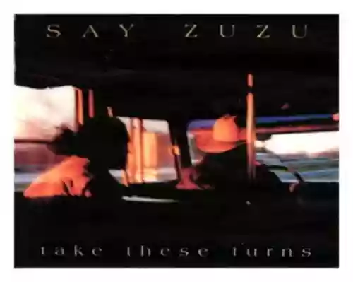 Cover di Take These Turns