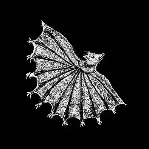 Cover Xiu Xiu - Ignore Grief