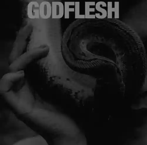 Cover Godflesh - Purge
