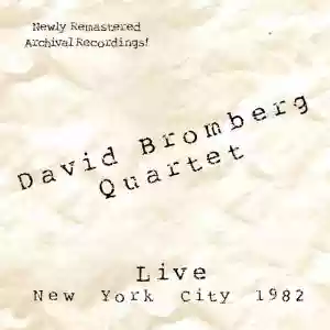 David Bromberg: Live New York City !982