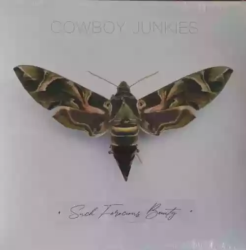 Cover Cowboy Junkies - Such Ferocious Beauty