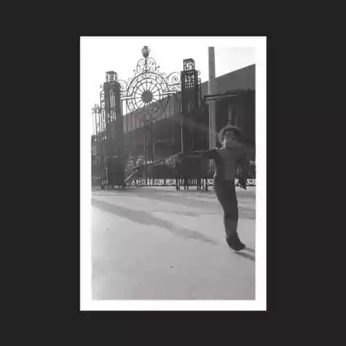Cover Irreversible Entanglements - Open The Gates