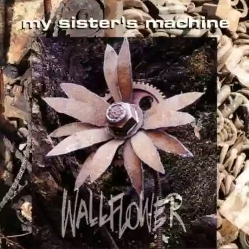 Cover My Sister's Machine - Wallflower