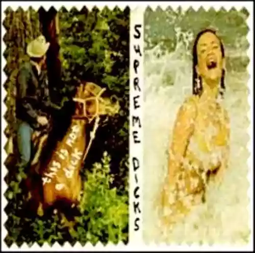 Cover di This Is Not a Dick