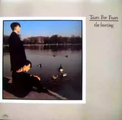 Cover di The Hurting