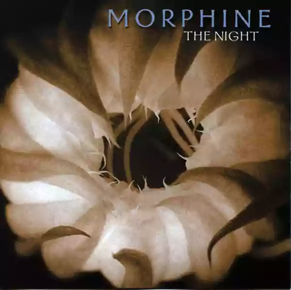 Morphine: The Night