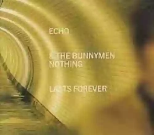 Cover di Nothing Lasts Forever