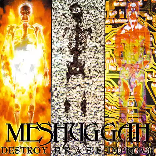 Meshuggah: Destroy Erase Improve