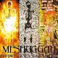 <b>Meshuggah</b> • Destroy Erase Improve