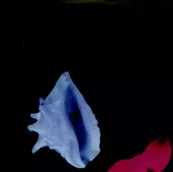 New Order: Touched by the Hand of God
