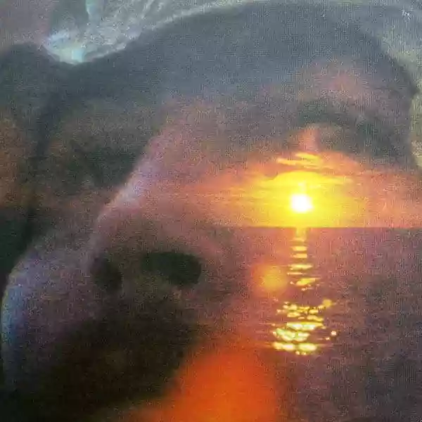 David Crosby: If I Could Only Remember My Name