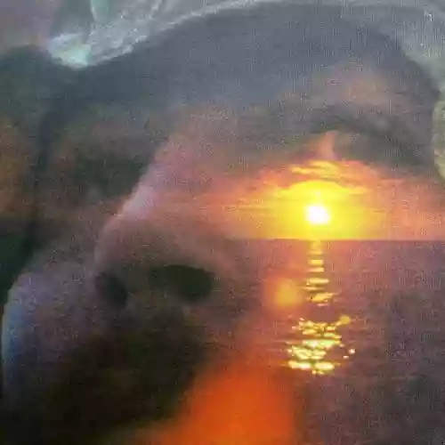 Cover David Crosby - If I Could Only Remember My Name