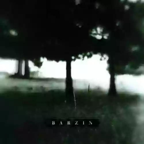 Cover Barzin - Barzin