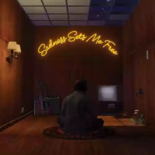 Cover Gruff Rhys - sadness sets me free