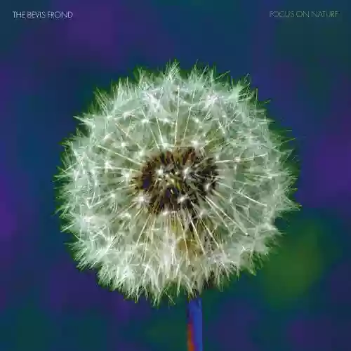 Cover The Bevis Frond - Focus On Nature