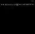 <b>The Velvet Underground</b> • White Light/White Heat