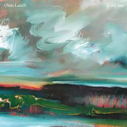 Cover Oisin Leech - Cold Sea
