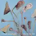 <b>Cosmo Sheldrake</b> • EYE TO THE EAR