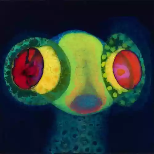 Cover Thee Oh Sees - Sorcs 80