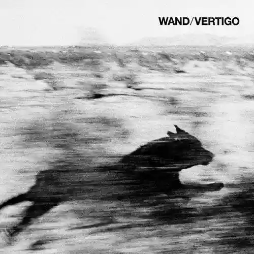 Cover di VERTIGO