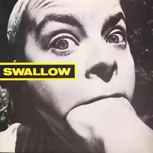 Cover Swallow - Swallow