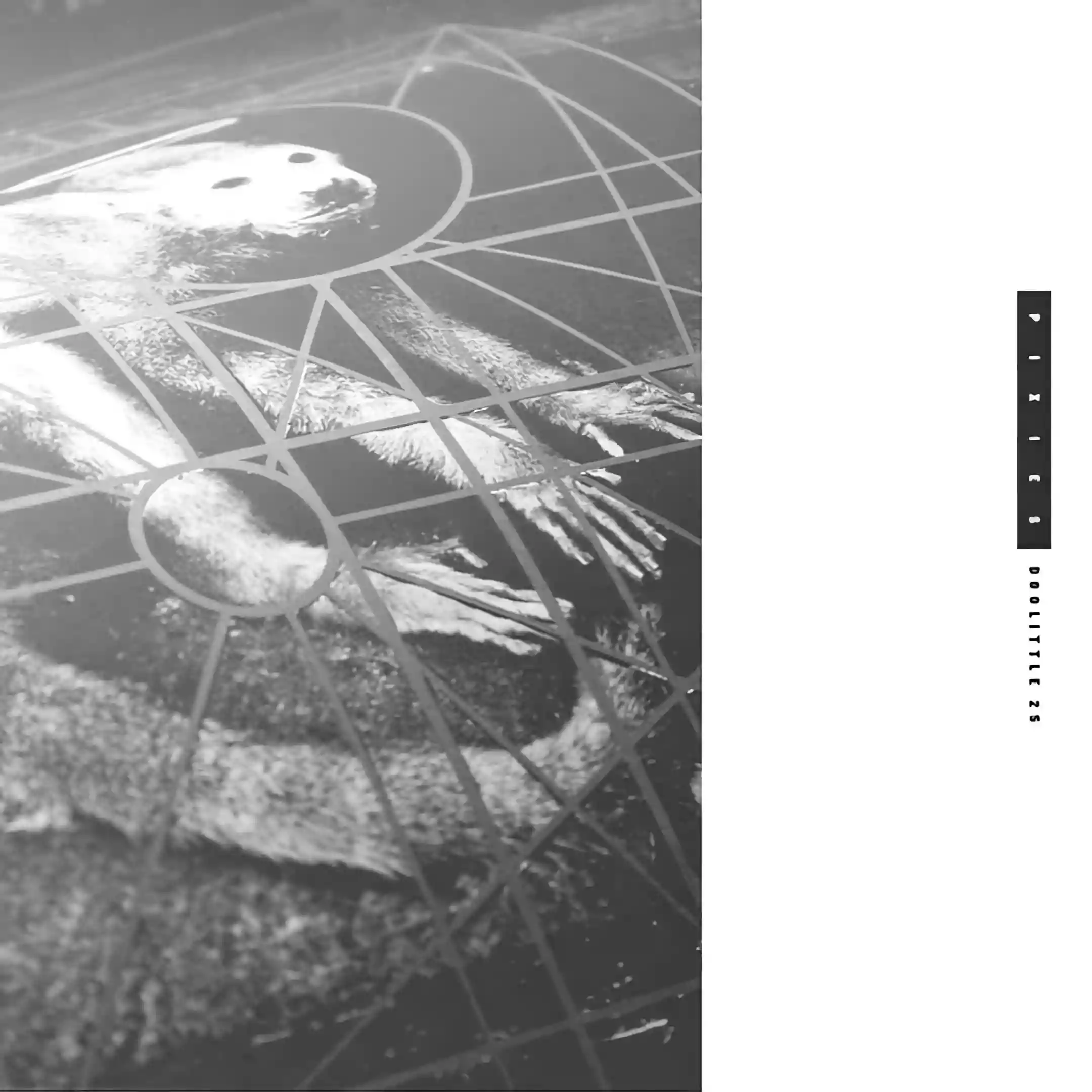 Pixies: Doolittle 25
