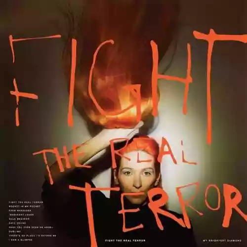 Cover My Brightest Diamond - Fight The Real Terror