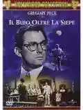 <b>Robert Mulligan</b> • Il buio oltre la siepe