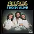 <b>Bee Gees</b> • Staying Alive