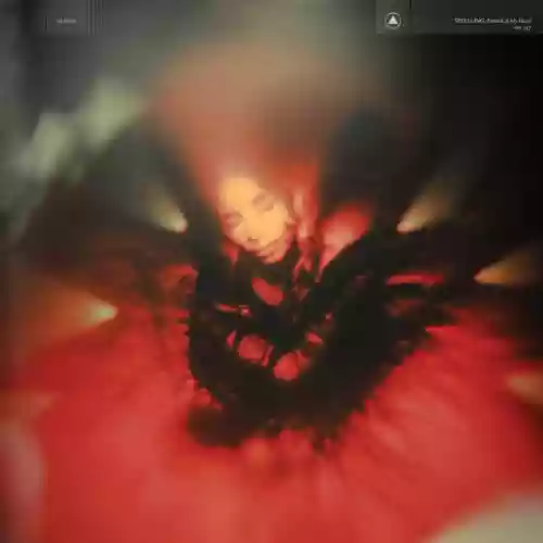 Cover Spellling - Portrait of My Heart