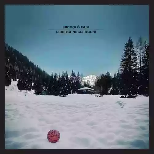 Cover Niccolò Fabi - Libertà negli occhi
